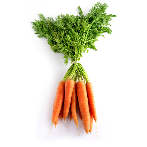 carottes-printemps